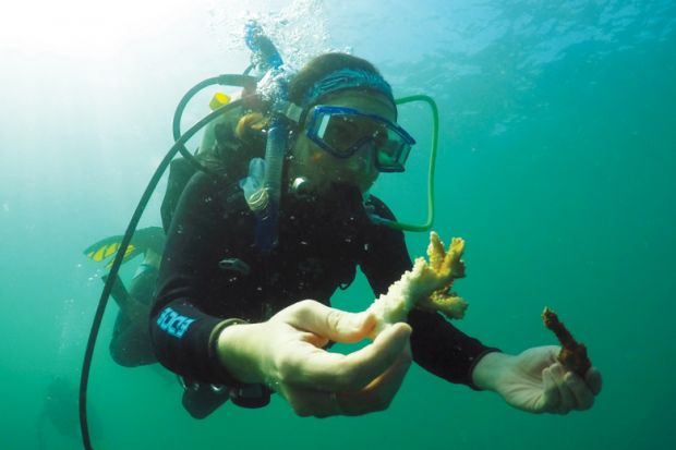 Marine biologist scuba diving and working underwater