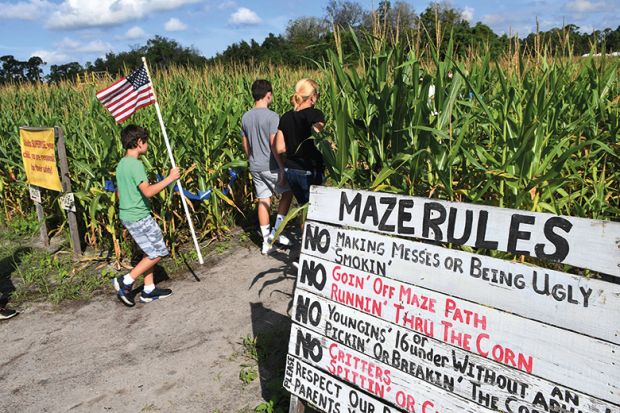 People entering the annual fall corn maze at Long and Scott Farms. To illustrate problem with banning terms like "fieldwork" to be more inclusive.