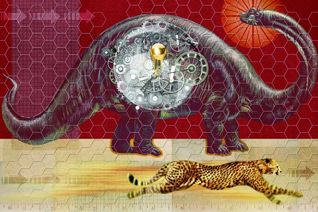 Dinosaur and cheetah illustration