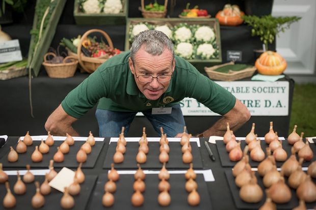 Shallots are judged during the Harrogate Autumn flower show at Newby Hall and Gardens, 2025. To illustrate that the UK’s market for students needs careful curation.