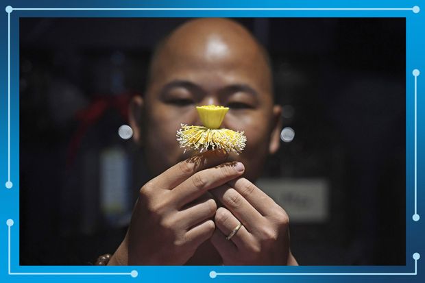 Man holding a lotus flower at his shop in Hanoi, Vietnam. To illustrate the rankings portfolio expanding to support regional development. Man holding a lotus flower at his shop in Hanoi, Vietnam. To illustrate the rankings portfolio expanding to support regional development.