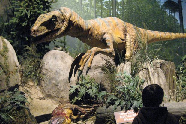 Person viewing dinosaur exhibit in museum