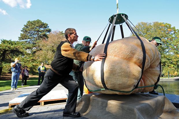 Weighing huge pumpkin