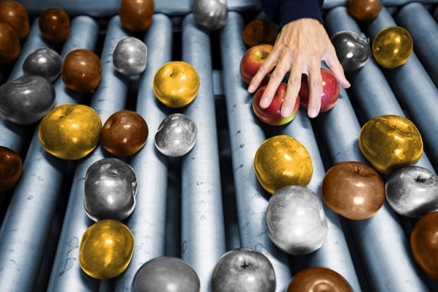 Apples on a conveyor belt being controlled for quality. Some being taken, leaving gold, silver and bronze ones. To illustrate refreshed TEF system intended to address the ‘small’ proportion of ‘bad courses’. Apples on a conveyor belt being controlled for quality. Some being taken, leaving gold, silver and bronze ones. To illustrate refreshed TEF system intended to address the ‘small’ proportion of ‘bad courses’.