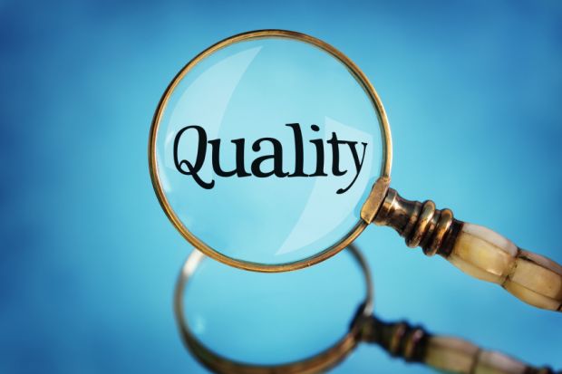 what is a quality review