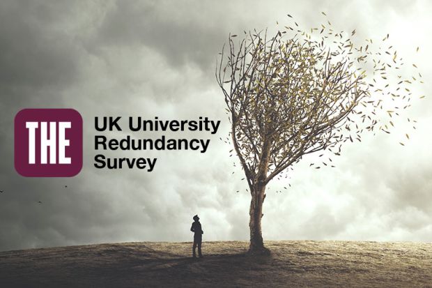 Person looking at tree with leaves blowing away and the THE UK University Redundancy Survey logo.