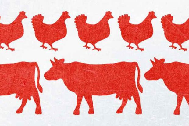 Review: Chickenizing Farms & Food, by Ellen K. Silbergeld