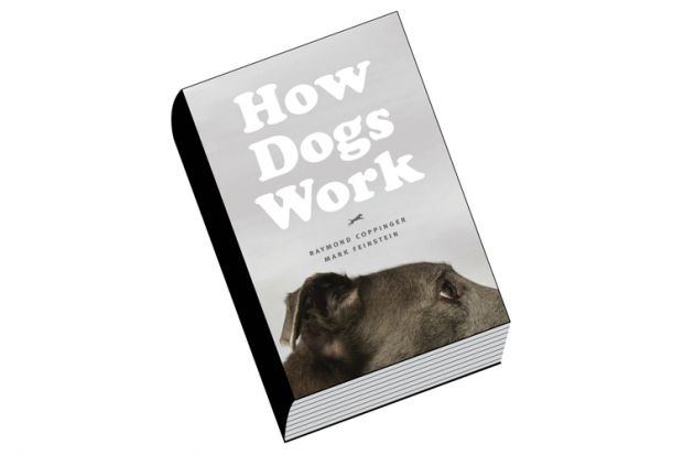 Review: How Dogs Work, by Ray Coppinger and Mark Feinstein