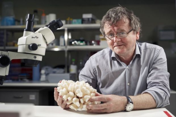 https://www.timeshighereducation.com/sites/default/files/styles/the_breaking_news_image_style/public/rsz_1terry_hughes_in_lab.jpg?itok=cl2hFkG6
