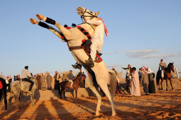 Saudi man riding horse, Tabuk, Saudi Arabia
