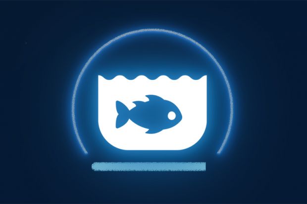 SDG 14 life below water SDG 14 life below water