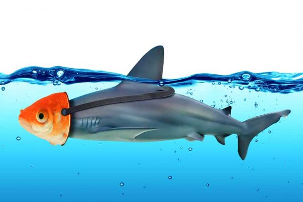 shark-goldfish-mask shark-goldfish-mask