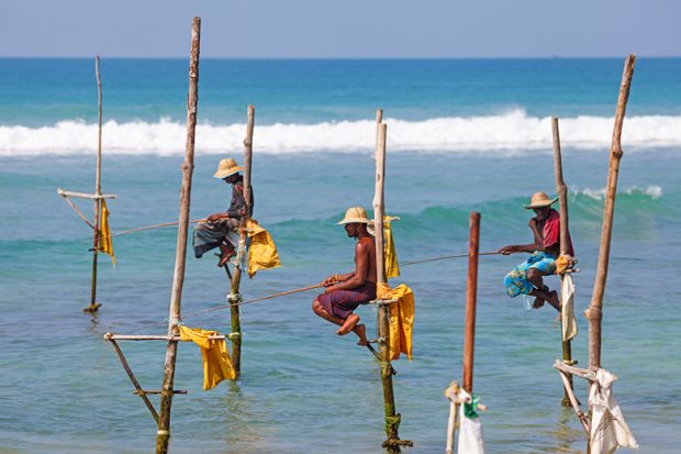 Fishermen sit on their stilts waiting for shoal of fish that will pass their stilts in the shallow water, Weligama, Sri Lanka.