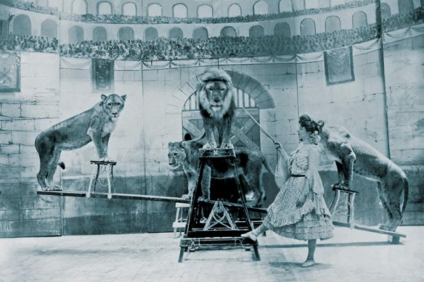 Lions in a circus