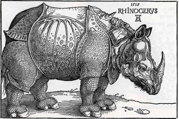 Woodcut of a rhinoceros from 1515