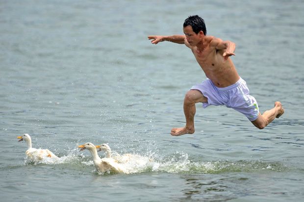 A man jumps into a river to catch ducks during a duck-catching competition, China