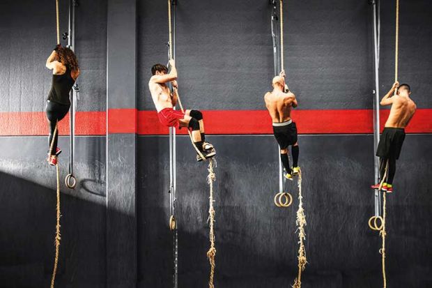 Crossfitters climbing up ropes