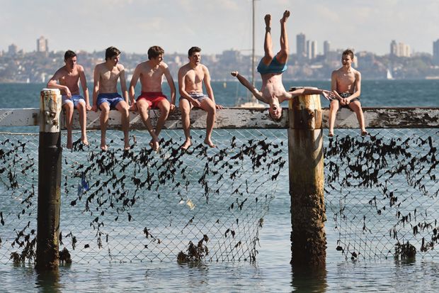 Children play on a shark net at Little Manly Cove, Australia Children play on a shark net at Little Manly Cove, Australia