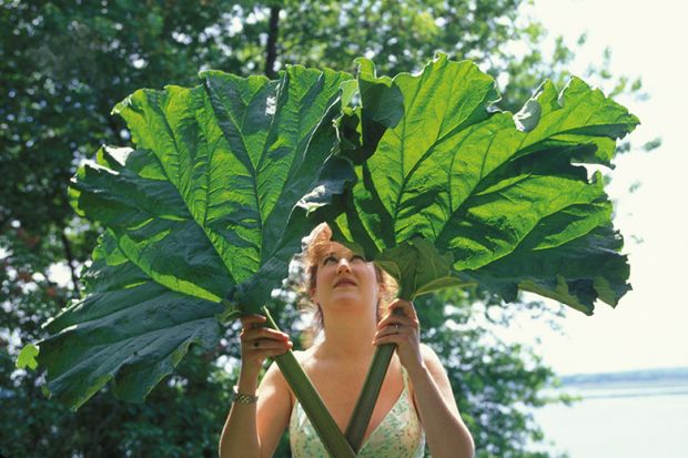 Woman holding large leaves