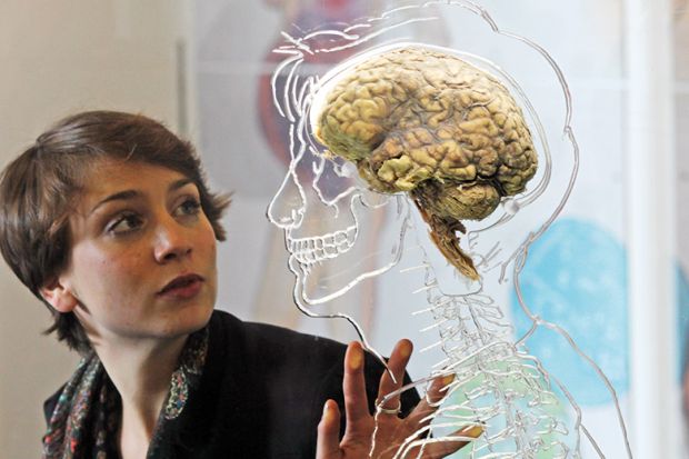 woman looking at a real human brain being displayed
