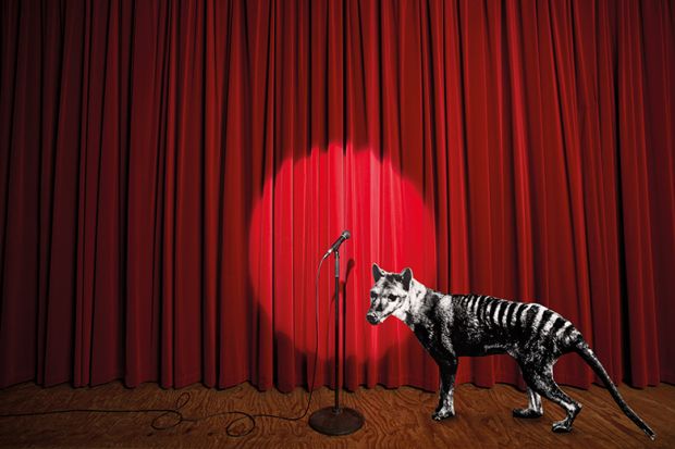 Tasmanian tiger on stage