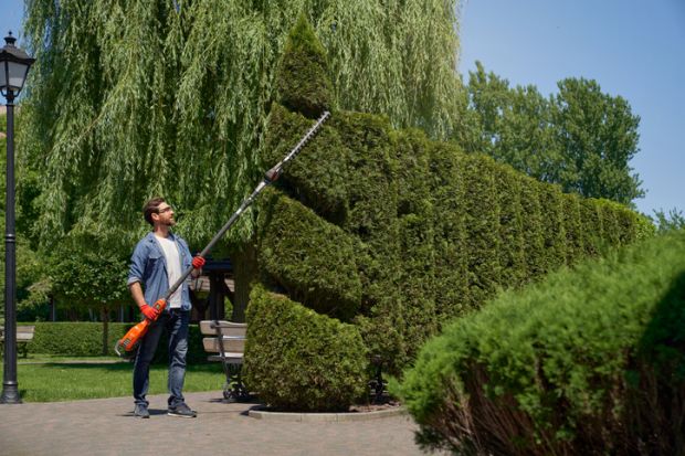 A man trims his hedge into a shape A man trims his hedge into a shape, symbolising strategic cuts