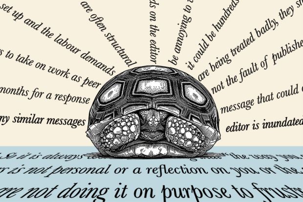 A tortoise hiding in its shell while being bombarded with lines of text. To illustrate publishers being inundated with requests which can lead to standards slipping.