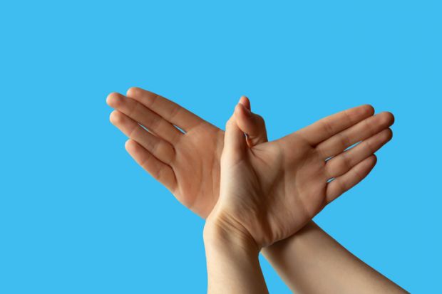 Two hands making the shape of a bird, mimicking the Twitter logo