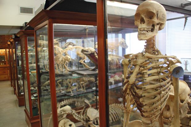 Zoological specimens displayed in glass cabinets inside The Alfred Denny Zoological Museum at The University of Sheffield, UK to illustrate niversities ‘risk grinding to a halt’ as job cuts deepen