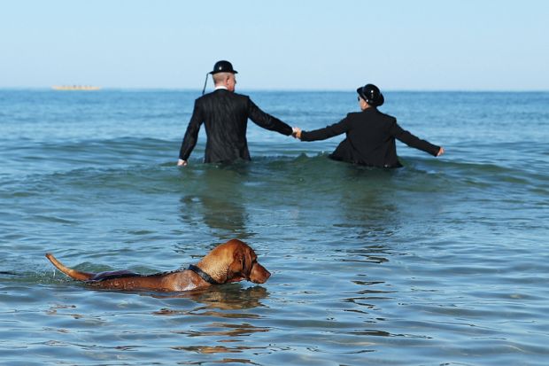 sea couple in the sea wearing business suits bowler hats holding hands dog swimming
