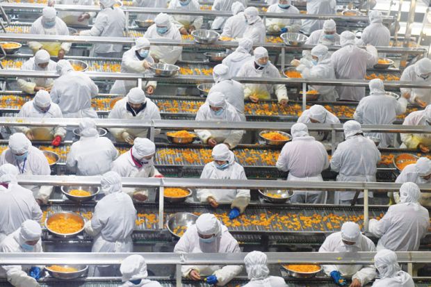 food factory overhead shot multiple lines of people with carrots on conveyor belts to describe the global geography of the food industry.