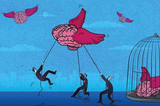 Illustration of Men trying to catch brains that are flying with wings to illustrate Sanctions are compatible  with academic freedom