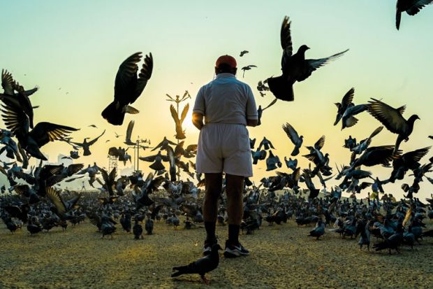 Man feeds pigeons at sunrise in Mumba to illustrate Resignation brings hope of overhaul for India’s rankings