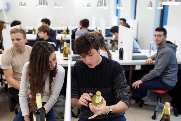 Studying wine Studying wine