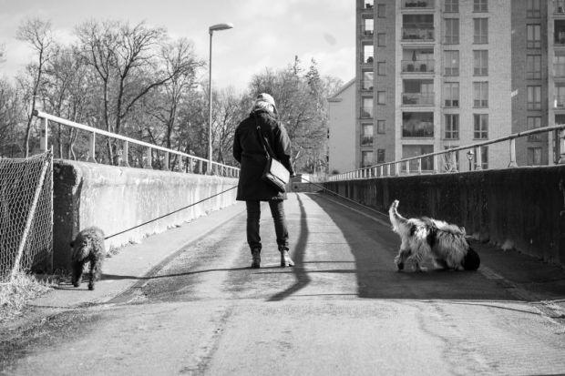 Woman on bridge with two dogs