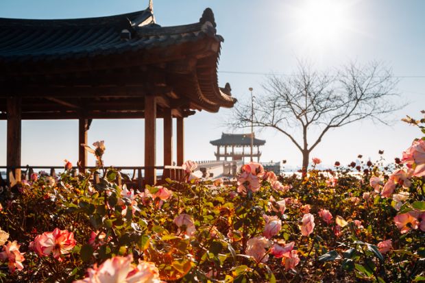 Yeongildae traditional pavilion and rose garden in Pohang, South Korea