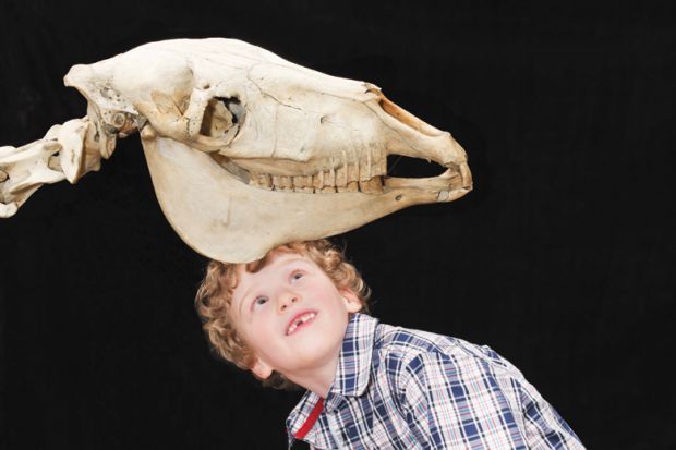Young boy posing beneath animal skull