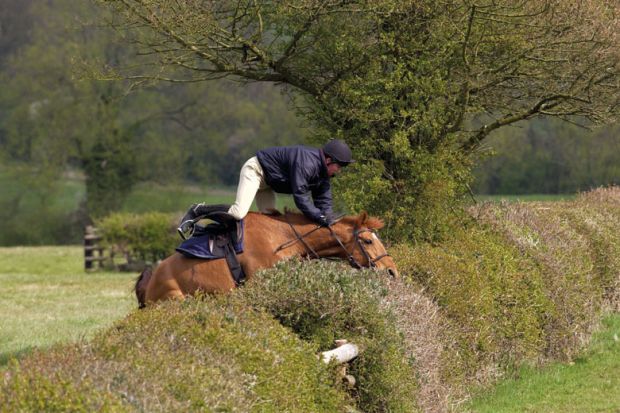 Horse and jockey crashing into hedge Horse and jockey crashing into hedge
