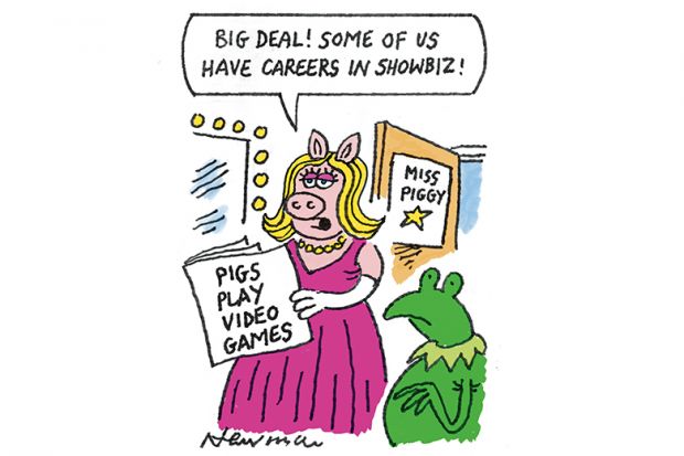 Cartoon of pig and frog Cartoon of pig and frog