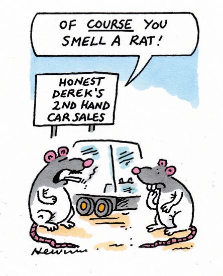 rat cartoon