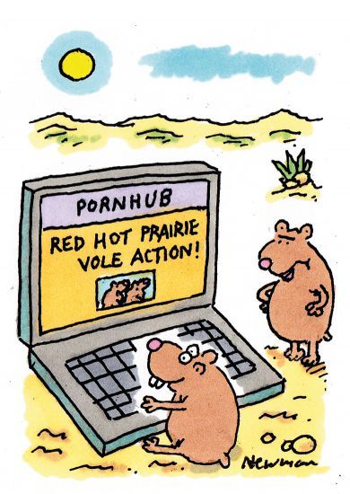 The week in HE illustration (27 April 2017)