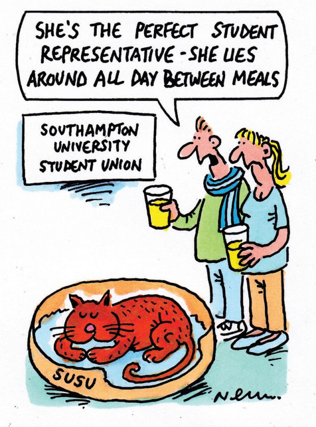 The week in higher education cartoon (19 May 2016)
