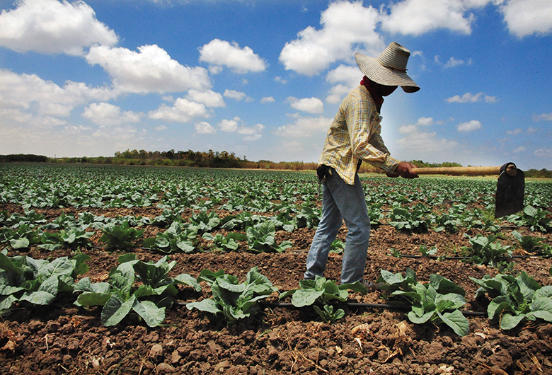 50 best ideas for coloring A Foreigner Farming In The