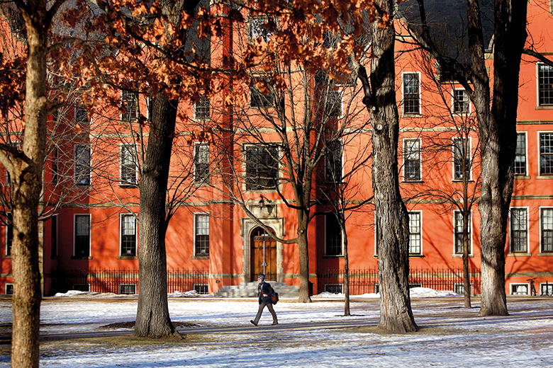 Trees on campus