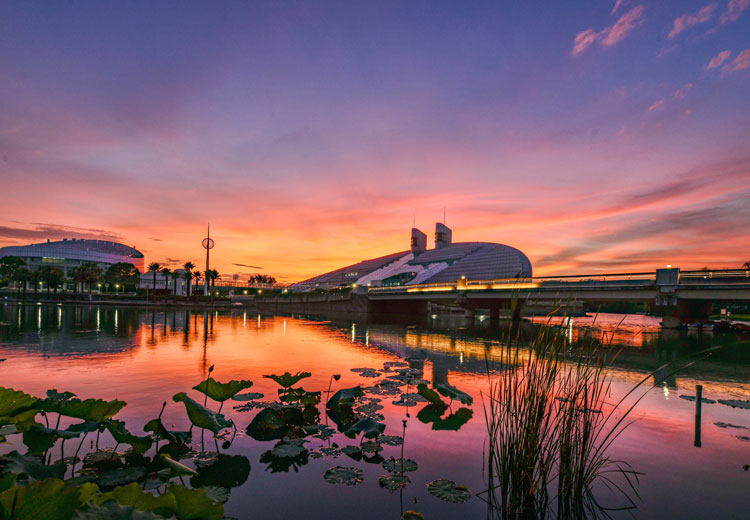 Creating a global university to meet strategic goals Times Higher