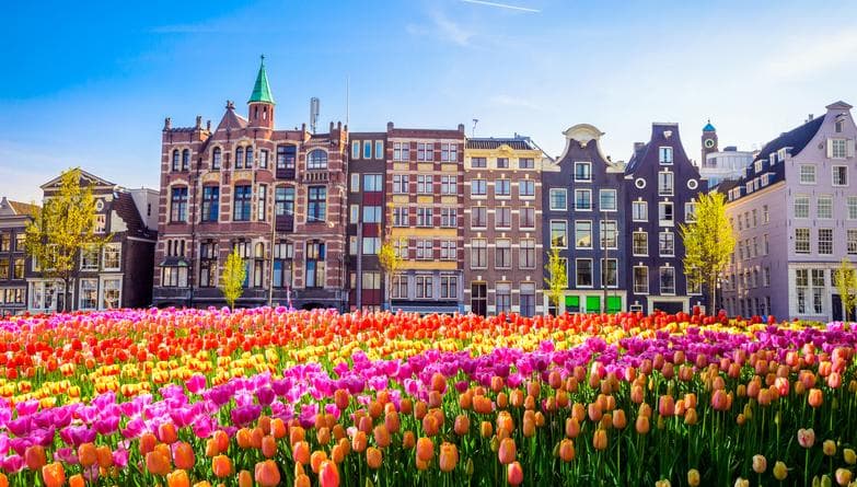 Everything you need to know about studying in the Netherlands