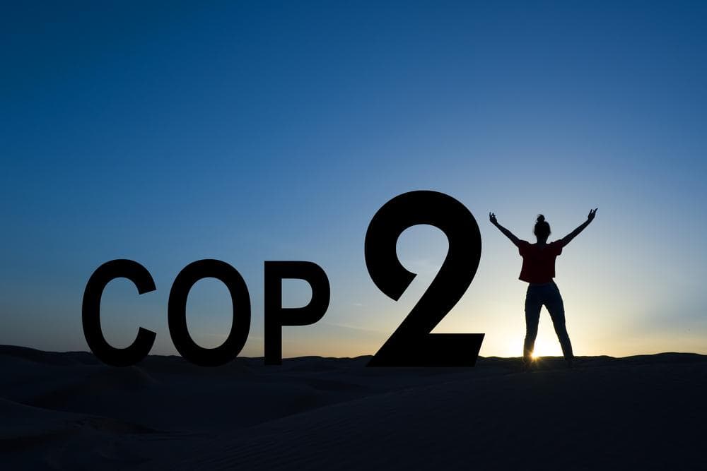 COP21 student