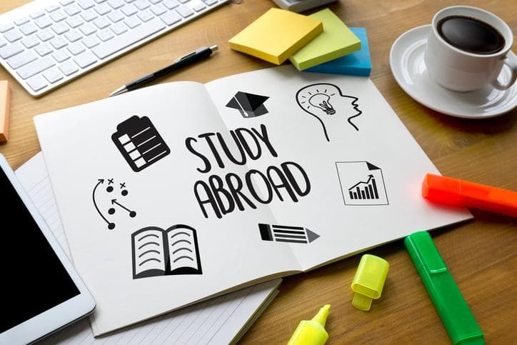 Why Chinese students study abroad