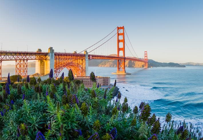 best universities in San Francisco, study in the US