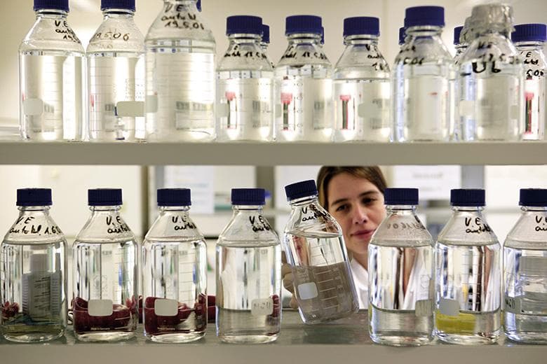 A female scientist looking at bottles of chemicals in a lab
